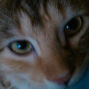 Julie Krueger's photo