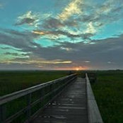 Erin Parker's photo
