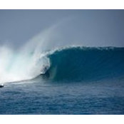 Foto de Matthew Keating
