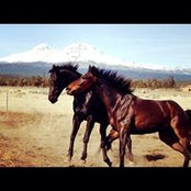 Stephanie O'Neill's photo