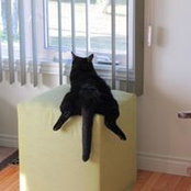 Charles-Philippe Dray's photo