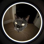 Bruce Couch's photo