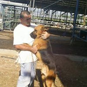 Yaakov Zeitoun's photo