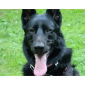 Mary Lynn Noonan-Toschi's photo