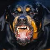 Tom Parrell's photo