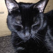 Maria Torres's photo