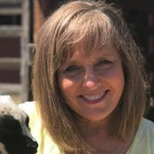 Cathy Corcoran's photo