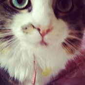 Jungeun Lees foto