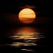 Rob Storm's photo