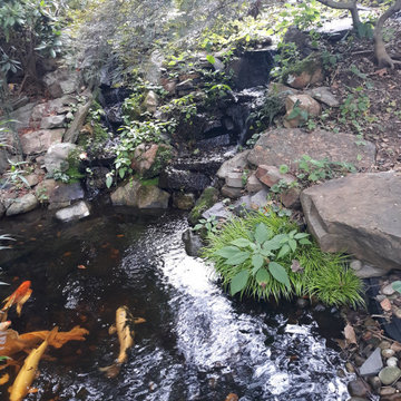 Water features