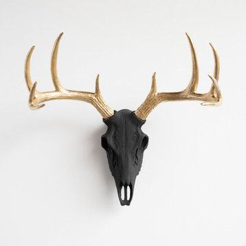 Deer Skull Wall Mount, Black and Gold