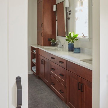 Remastered Master Bath - Glen Ellyn, IL