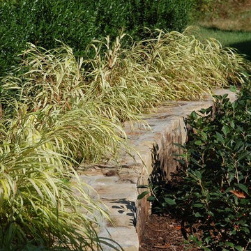 Backyard Transformation- Poolesville