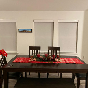 Light Filtering Roller Shades