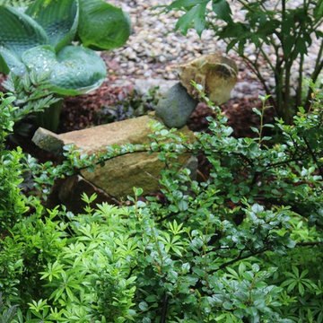 Rosebrook Garden 2017 Garden Tour