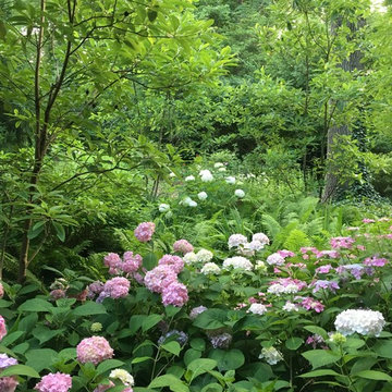 Rain garden
