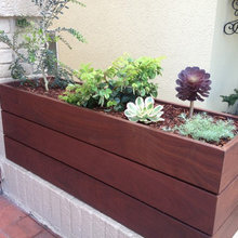 Landscape Ideas