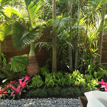 landscaping/plants