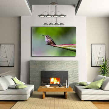 Hummingbirds For Your Walls