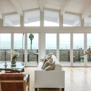 Panoramic Doors