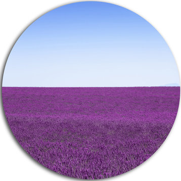 Lavender Flowers With Blue Horizon, Landscape Disc Metal Artwork, 11"
