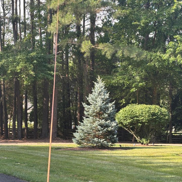 Safe Tree Removal and Property Protection