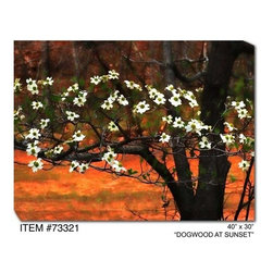 Dogwood at Sunset Outdoor Canvas Art - Home Decor