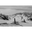 "Buried Fences" Landscape Photo, Black & White Unframed Wall Art Print, 24"x36"