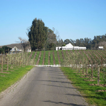 Donum Estate