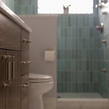 Chicago Primary Bath Retreat