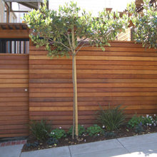 Fence