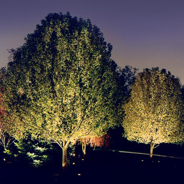 Affordable Lawn Sprinkler and Lighting's Artistry around Northern Virginia