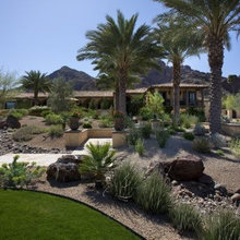 arid landscaping