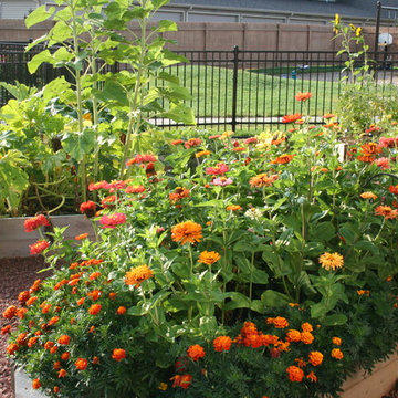 Edible Landscaping