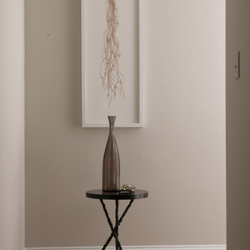 Remodeling Luxe Hallway