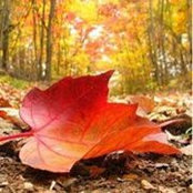 Foto von Spring Harrington Tancre
