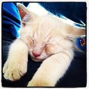 Allison Weems's photo