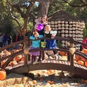 Alyson Presley's photo