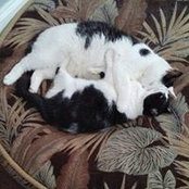 Jenny Culleton Jenkins's photo