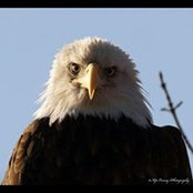 Mark De Berardini's photo
