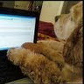 Wendy Oliver's photo