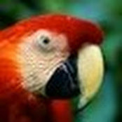 Manish Bohra's photo