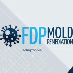 FDP Mold Remediation of Arlington