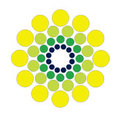 American Solar Corp.'s profile photo