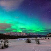 Michele Oldham-Frey's photo