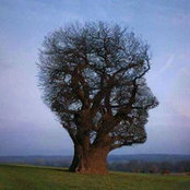Tony Adiang's photo