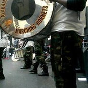 Foto von Chris Toliver