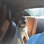 Michael Mastellone's photo