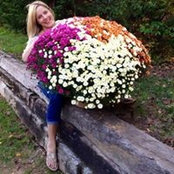 Stacy Sommer's photo