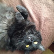 Kerri Simon's photo